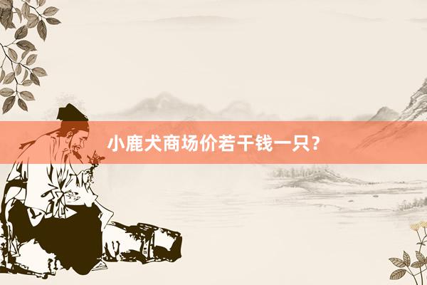 小鹿犬商场价若干钱一只？