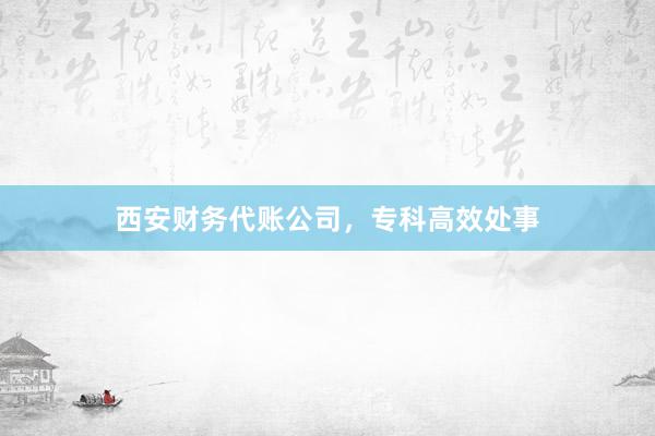 西安财务代账公司，专科高效处事